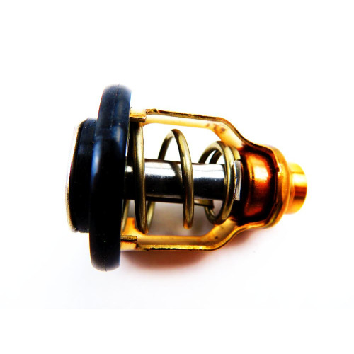 Termostat Suzuki DF200