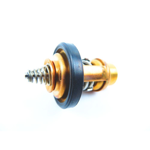 Termostat Suzuki DF6