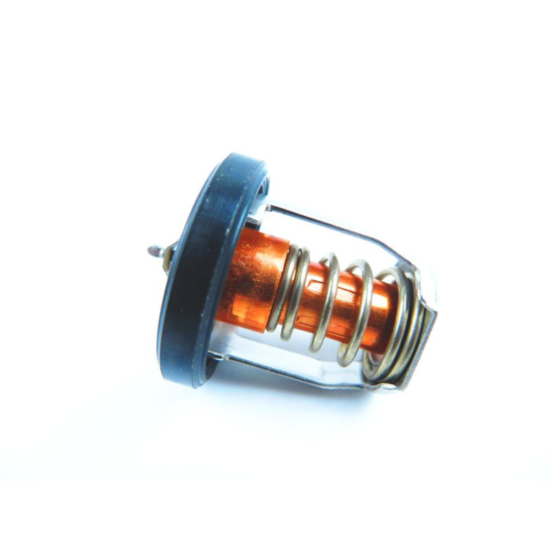 Termostat Suzuki DF9.9B-1